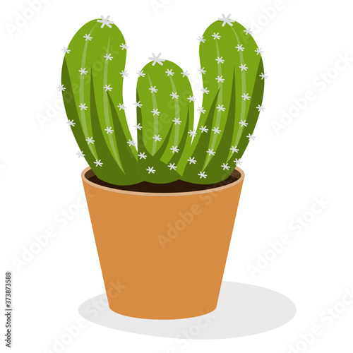 
Echeveria Potted plant  flat icon, evergreen decor  
