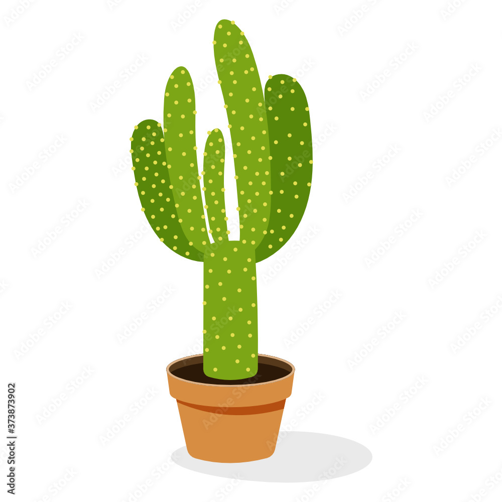 Cactus potted plant flat icon, indoor decoration accessory
Cactus potted plant flat icon, indoor decoration accessory