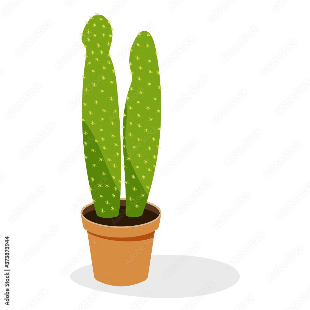 
Cereus Jamacaru plant flat icon, indoor decor accessory  

