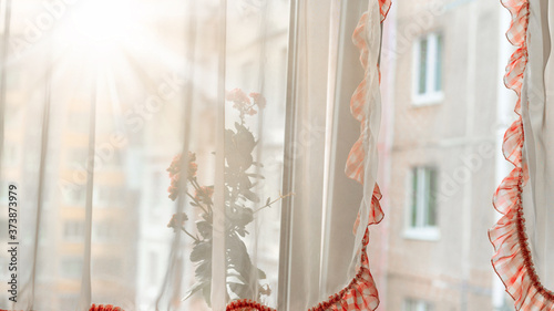 bright ray of sun shining in light room through transparent white curtain with red frill on window of home apartment