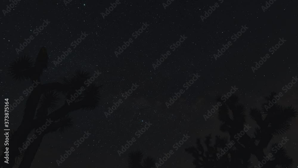 timelapse of the sky at night with joshua trees in frame. timelapse of the sky at night with joshua trees in frame.