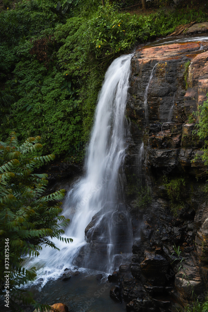 Fototapeta premium waterfall in the forest