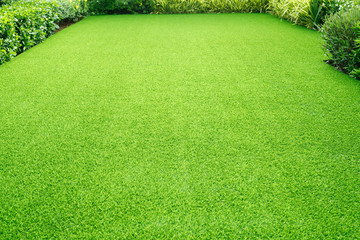 Grass field meadow green on the garden front of the house. 