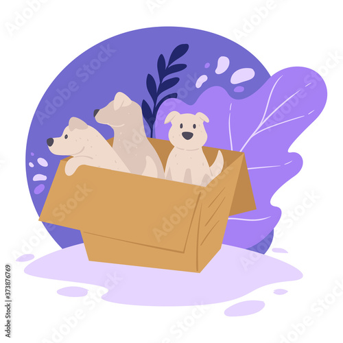 Puppies in carton box, shelter for animals vector