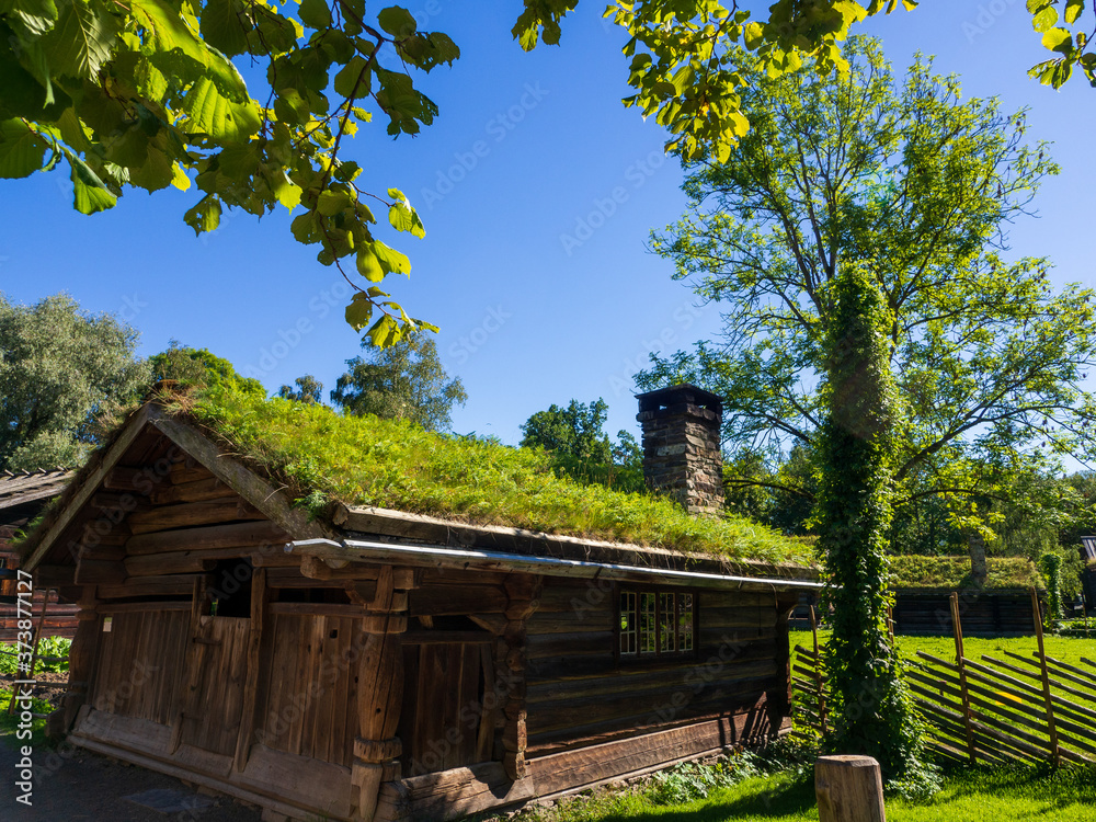 Ancient Nordic House in Summer