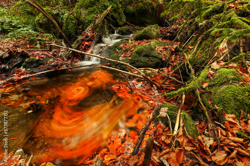 Verwischte Laubblätter im Wasserfall © M. & S.-N. Petersen
