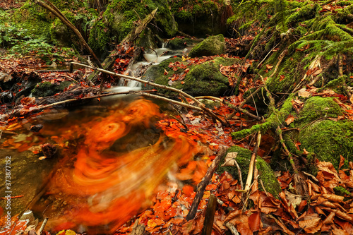 Verwischte Laubblätter im Wasserfall photo