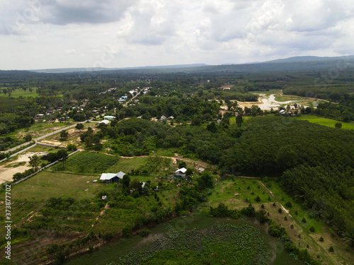 Farmland with rubber plantation area landscape. at Phusind Sisaket Thailand.
