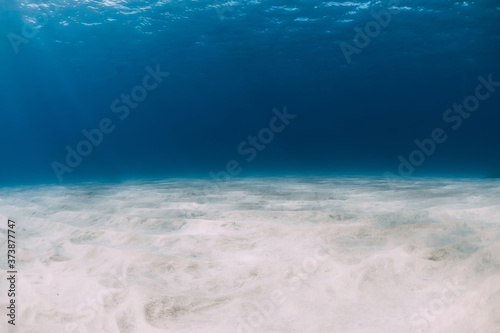 Tropical sea in the deep with white sand underwater at Canary islands