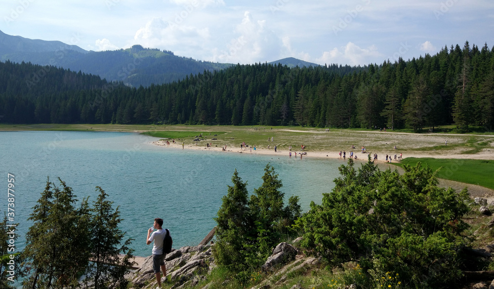Mountain lake and evergreen coniferous forest, Durmitor, Montenegro