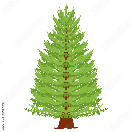 
Trendy design of balsam fir icon, wild tree 
