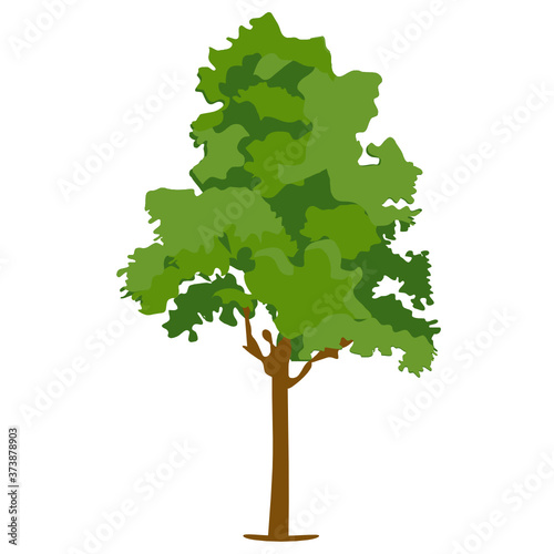 Editable design of indian cork tree icon, forest symbol 