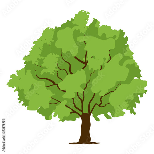  A leguminous tree, flat style of tamarind tree icon 