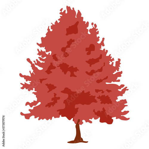 
Flat icon design of sugar maple tree, sapindaceae family tree 
