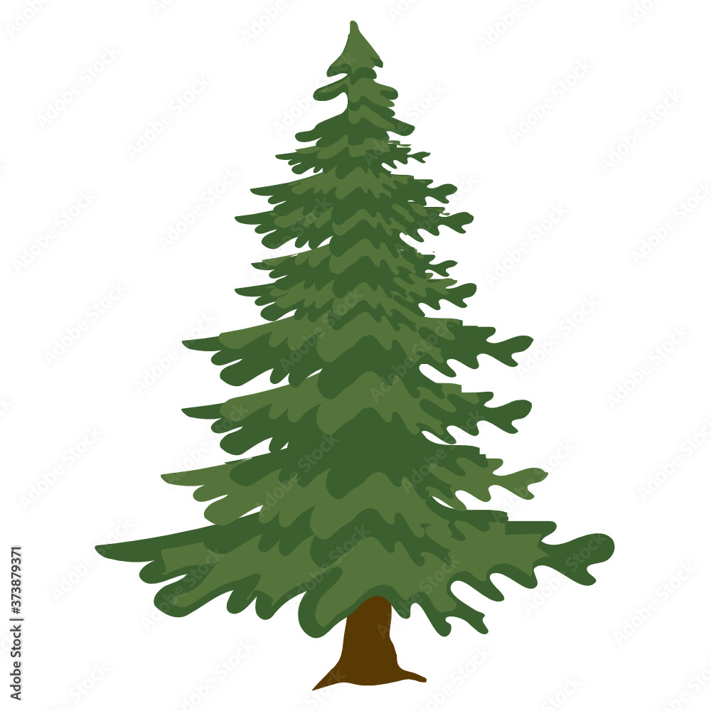 Obraz premium Flat style of spruce tree icon 
