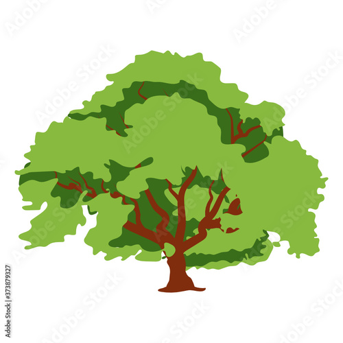  Flat vector design of maple tree icon 