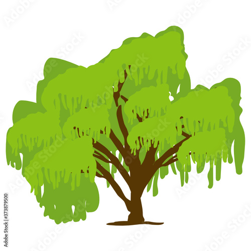 
A temperate climate shrub, willows tree icon in flat design
 photo