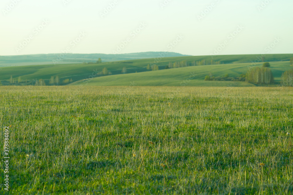 Green field and blue sky