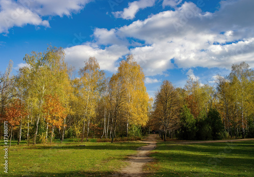 Picturesque pathway through green meadow and yellowed grove in autumn park