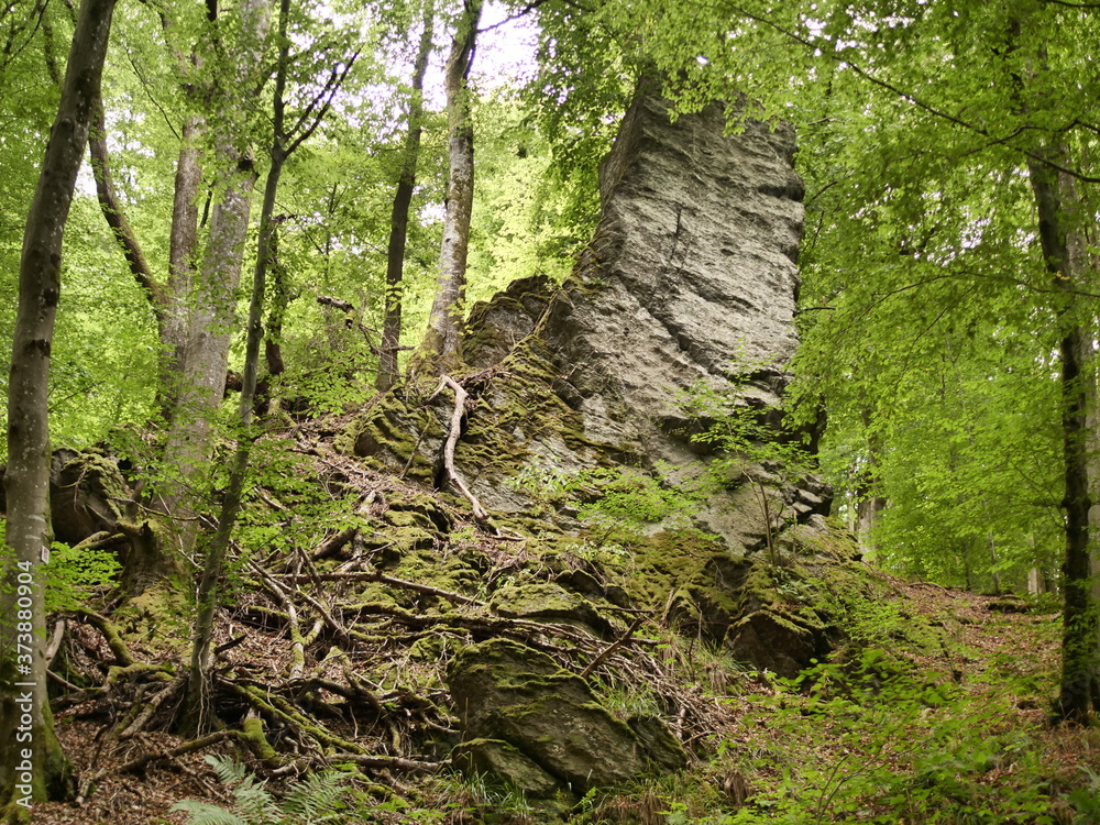 Fototapeta premium Felsen im Tal der 