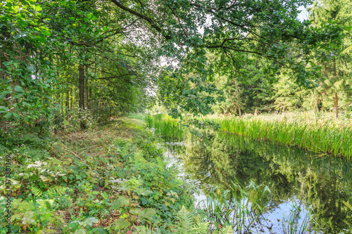 Watercourses with remnants of hydraulic experimental installations in the Waterloopbos in the Dutch province of Flevoland