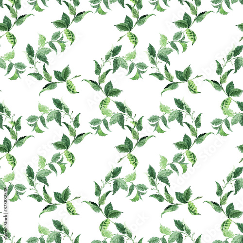 Watercolor seamless pattern with various aromatic plants 