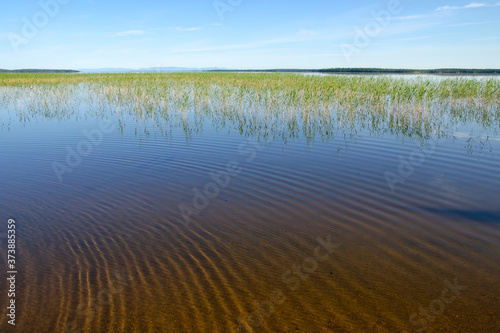 View of Kanozero lake on a sunny day. Kola Peninsula, Murmansk Oblast, Russia.