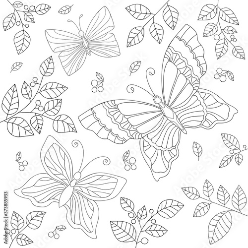 Decorative butterflies with simple striped and wavy pattern, leaves and berries on white isolated background. Insect beautiful hand drawn doodle illustration. For coloring book pages.