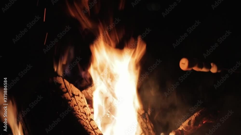 Roasting Marshmallow Over Fast Burning Campfire at Night Roasting Marshmallow Over Fast Burning Campfire at Night