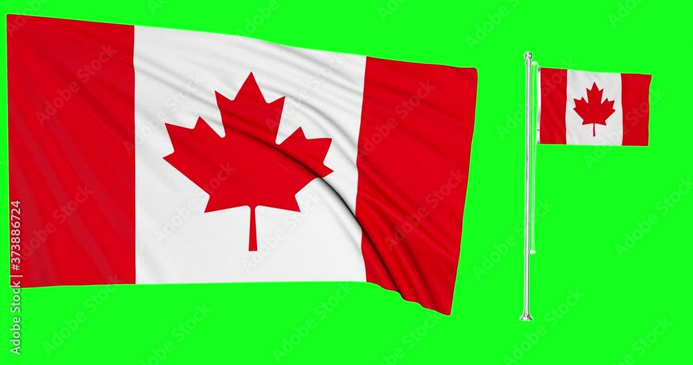 canada Animation two Flags Green Screen canadadian flagpole Waving