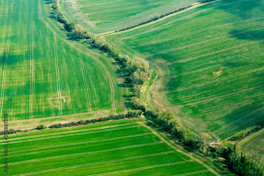 Aerial view of patchwork of green fields in Cambridgeshire farmland