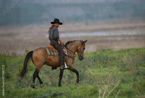 cowboy riding horses in the desert © FotoArtist