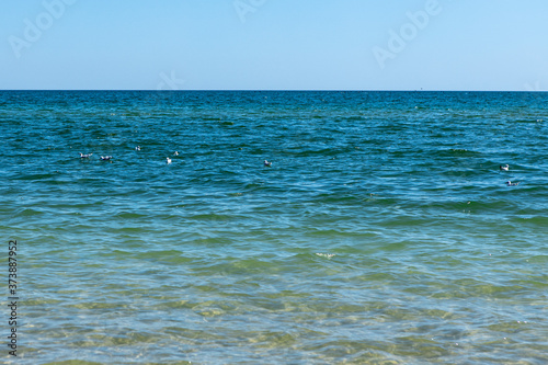 Beautiful clear blue sea. Transparent water background and texture. Summer vacation with family