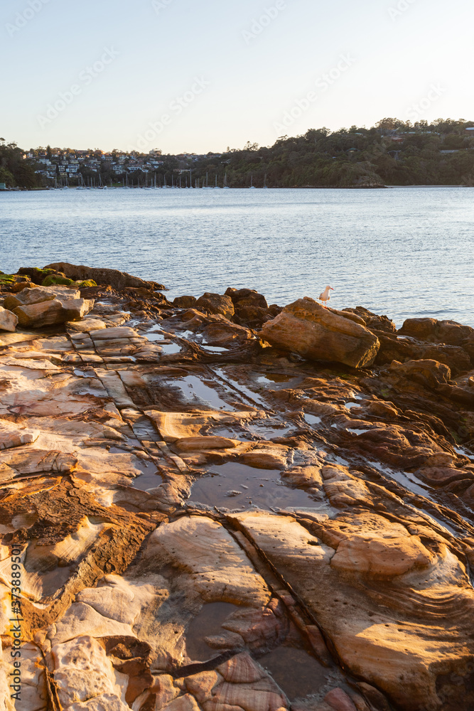 Rock formation on Sydney Harbour coastline.