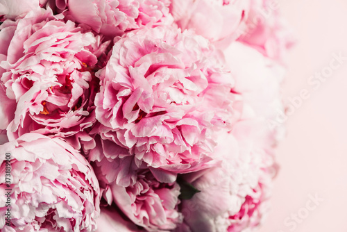 Fototapeta Naklejka Na Ścianę i Meble -  Wedding, birthday, anniversary bouquet. Pink peony flower on pastel background. Copy space. Trendy pastel floral composition. Woman day, Mother's day. Macro of peonies flowers