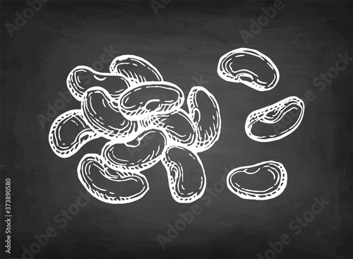 Chalk sketch of common bean