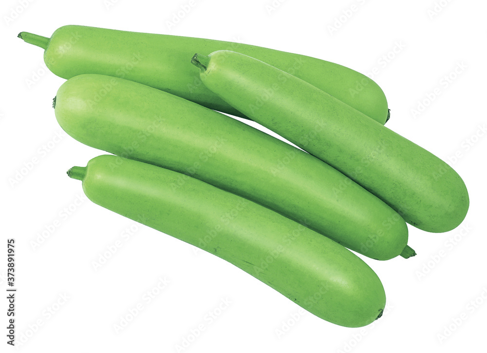 A Garden Fresh bottle gourd, lauki (Lagenaria siceraria) Isolated on White Background A Garden Fresh bottle gourd, lauki (Lagenaria siceraria) Isolated on White Background