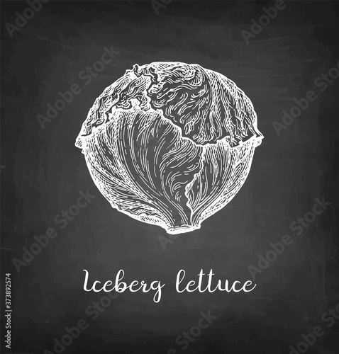 Chalk sketch of lettuce iceberg.