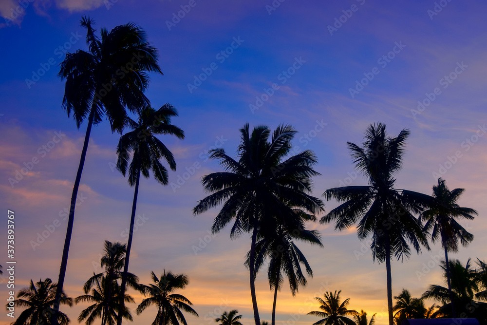 palm trees on the beach during the blue hour