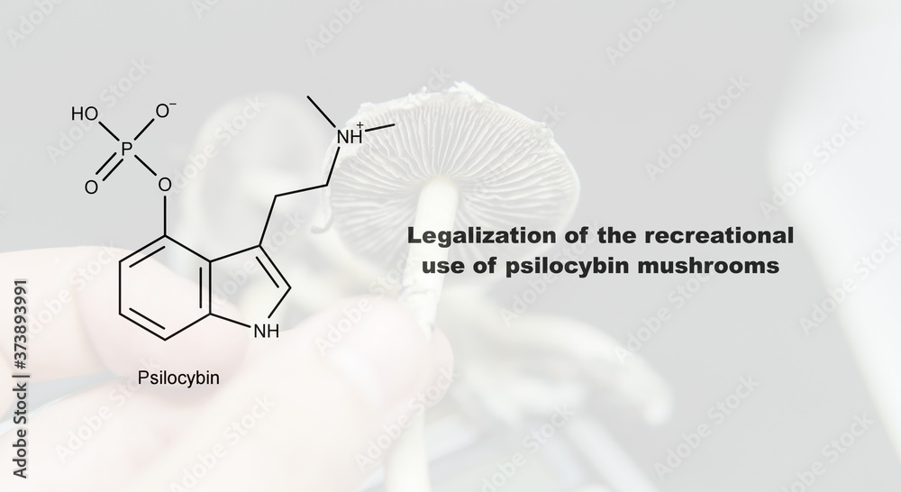 Legalization Of The Recreational Use Of Psilocybin Mushrooms ...