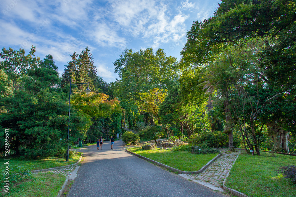 Beautiful view of Batumi Botanical Garden is located near Batumi