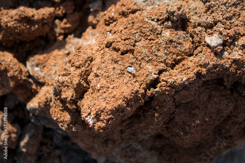 Piece of red barren clay. Red clay texture.