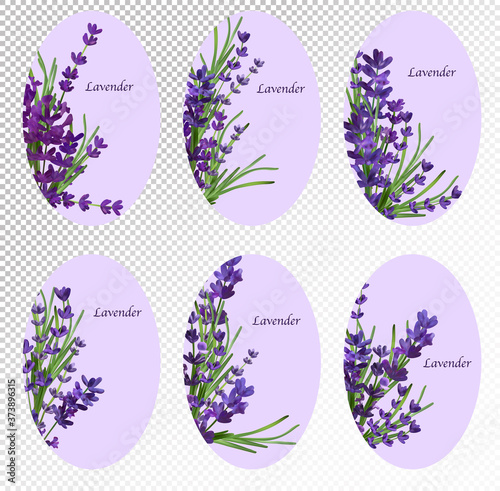 Collection of bouquets of six sets of violet lavender flower. Lavender flowers banner for perfumery items, health care products, wedding invitation. Set of vector illustrations