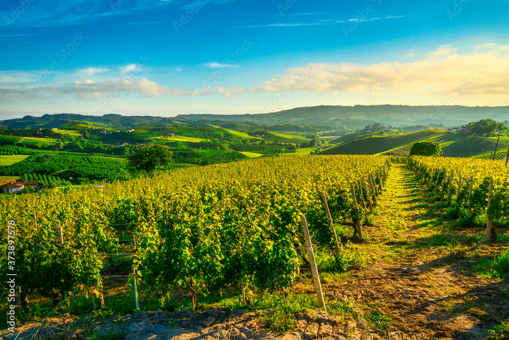 Langhe vineyards sunset panorama, Grinzane Covour, Piedmont, Italy Europe.