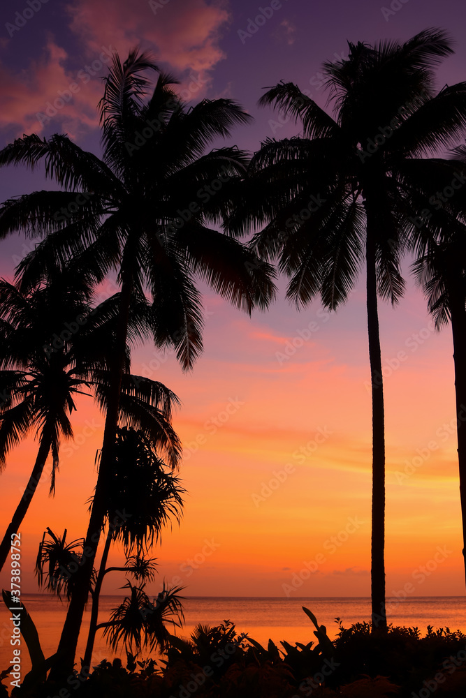 Tropical Beqa Island Sunset
