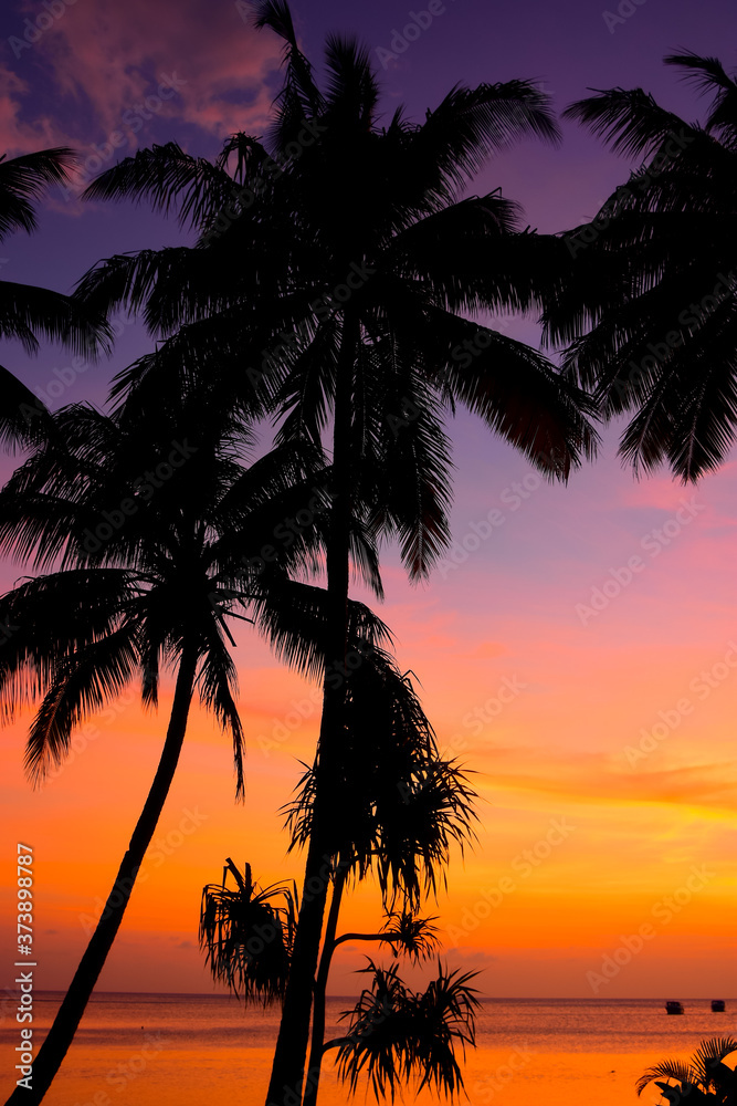 Tropical Orange Sunset