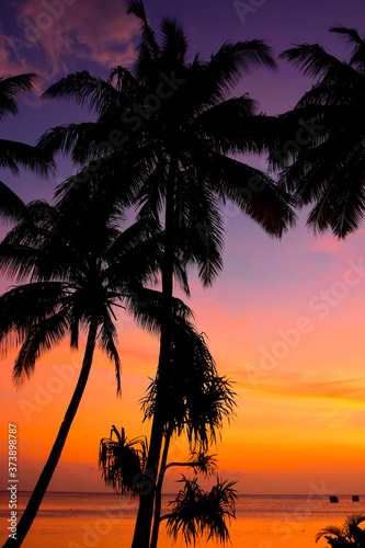 Tropical Orange Sunset