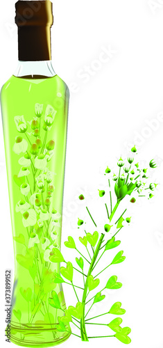 shepherd's purse plant tincture