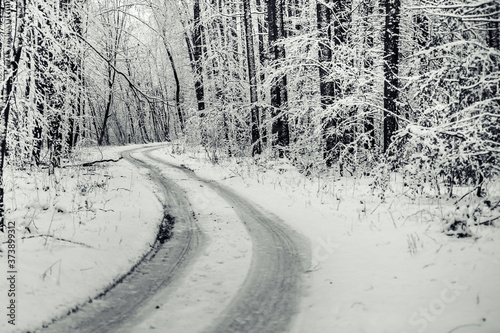 Принти на полотні Deserted road through the winter forest