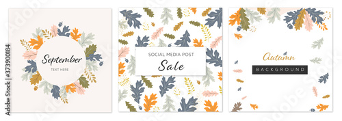 autumn, autumnal collection, vector set of abstract backgrounds, autumn sale
